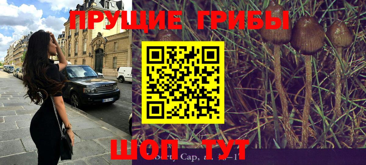 Псилоцибиновые грибы Magic Shrooms  Вход с VPN  Галлюциногенные грибы Psilocybe  Шумерля 